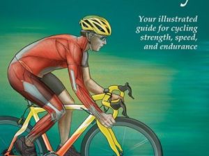 cycling anatomy (sports anatomy)