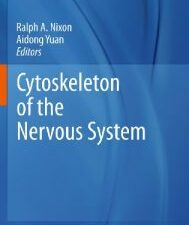 cytoskeleton of the nervous system
