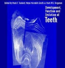 Development, Function and Evolution of Teeth