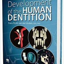 development of the human dentition