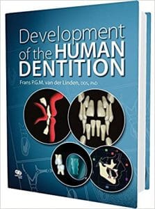 development of the human dentition