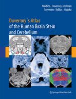 duvernoy’s atlas of the human brain stem and cerebellum