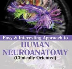 Easy and Interesting Approach to Human Neuroanatomy