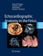 echocardiographic anatomy in the fetus
