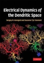 electrical dynamics of the dendritic space
