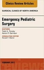 Emergency Pediatric Surgery, An Issue of Surgical Clinics, E-Book (The Clinics: Surgery 97) UK ed. Edition