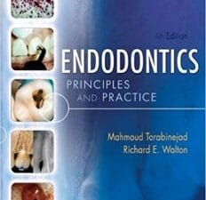 Endodontics: Principles and Practice 4th Edition
