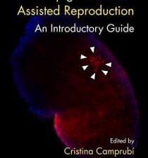 epigenetics and assisted reproduction: an introductory guide