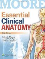 essential clinical anatomy by dr. keith l. moore (5th north american edition – 2014 release)
