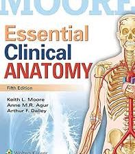essential clinical anatomy by dr. keith l. moore (5th north american edition – 2014 release)