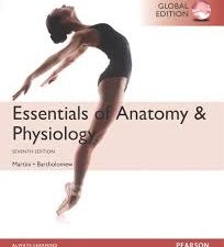 essentials of anatomy & physiology, 7th edition