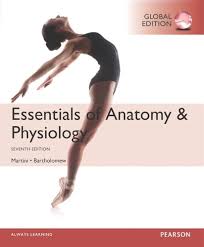 essentials of anatomy & physiology, 7th edition