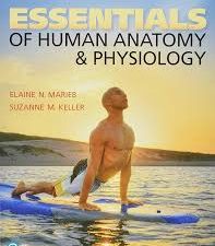 essentials of human anatomy and physiology