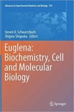 euglena: biochemistry, cell and molecular biology