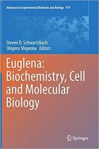 euglena: biochemistry, cell and molecular biology