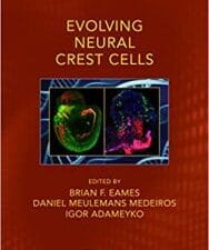 evolving neural crest cells