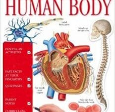 eyewitness workbooks human body
