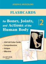flashcards for bones, joints, and actions of the human body 1st edition 2nd edition