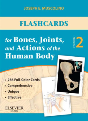 flashcards for bones, joints, and actions of the human body 1st edition 2nd edition