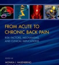 from acute to chronic back pain: risk factors, mechanisms, and clinical implications