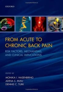 from acute to chronic back pain: risk factors, mechanisms, and clinical implications