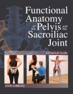functional anatomy of the pelvis and the sacroiliac joint: a practical guide