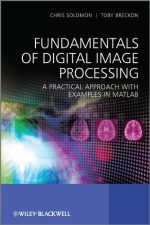 fundamentals of digital image processing: a practical approach with examples in matlab 1st edition