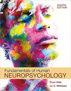 fundamentals of human neuropsychology eighth edition