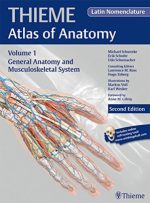 general anatomy and musculoskeletal system
