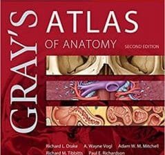 Gray’s Atlas of Anatomy (Gray’s Anatomy) 2nd Edition