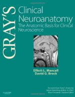 gray’s clinical neuroanatomy: the anatomic basis for clinical neuroscience, 1st edition (gray’s anatomy) 2011