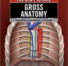 Gross Anatomy: The Big Picture (LANGE The Big Picture) 1st Edition