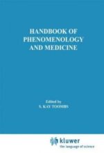 handbook of phenomenology and medicine