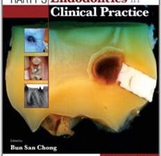 Harty’s Endodontics in Clinical Practice 6th Edition