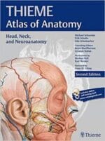 Head, Neck, and Neuroanatomy, 2 EDITION