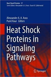 heat shock proteins in signaling pathways