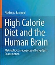 High Calorie Diet and the Human Brain: Metabolic Consequences of Long-Term Consumption