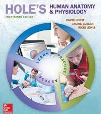 hole’s human anatomy & physiology, 14th edition