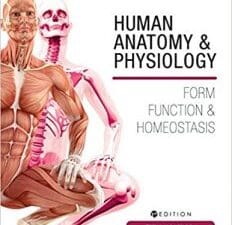 Human Anatomy and Physiology