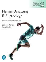 human anatomy and physiology, global edition