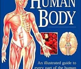 Human Body: An Illustrated Guide to Every Part of the Human Body and How It Works