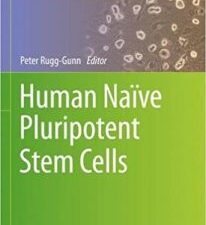human naïve pluripotent stem cells (methods in molecular biology, 2416)