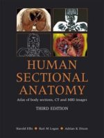 human sectional anatomy: atlas of body sections, ct and mri images – 3rd edition