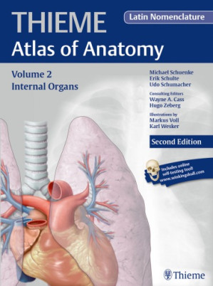 internal organs, latin nomenclature