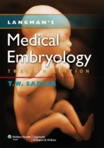 langman’s medical embryology 12th edition (2011)