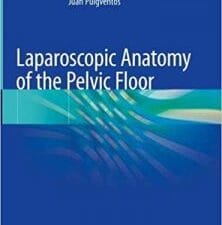 Laparoscopic Anatomy of the Pelvic Floor