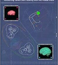lingua ex machina: reconciling darwin and chomsky with the human brain