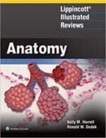 Lippincott Illustrated Reviews: Anatomy