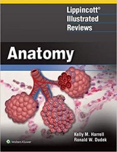 Lippincott Illustrated Reviews: Anatomy