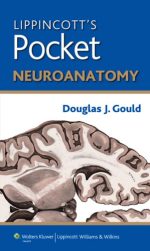 lippincott’s pocket neuroanatomy (lippincott’s pocket series) – 2013